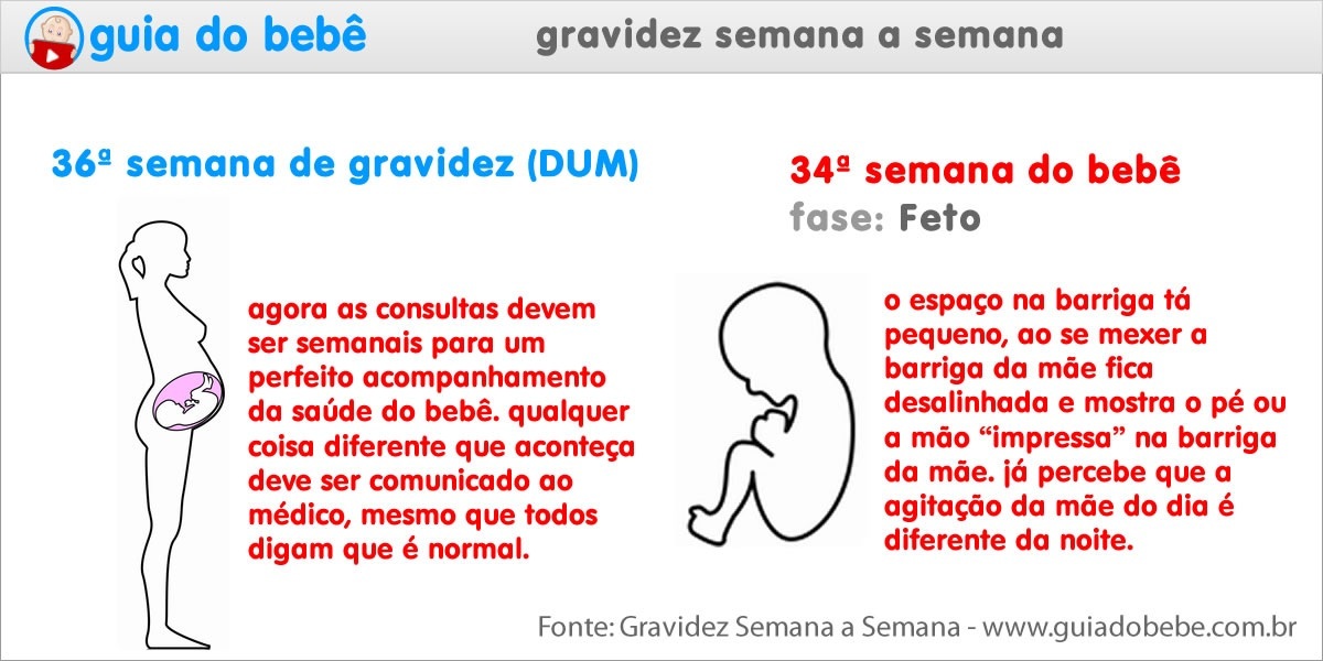 Semana 36 de gravidez (DUM) - Guia do Bebê Semana 36 de gravidez (DUM) - Guia do Bebê