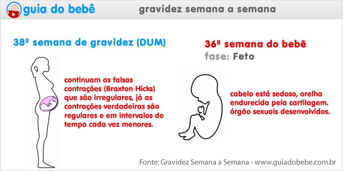 Semana 38 de gravidez (DUM) - Guia do Bebê Semana 38 de gravidez (DUM) - Guia do Bebê