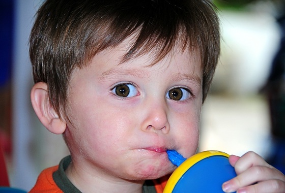 alimentação da criança - Foto: digihanger / pixabay.com