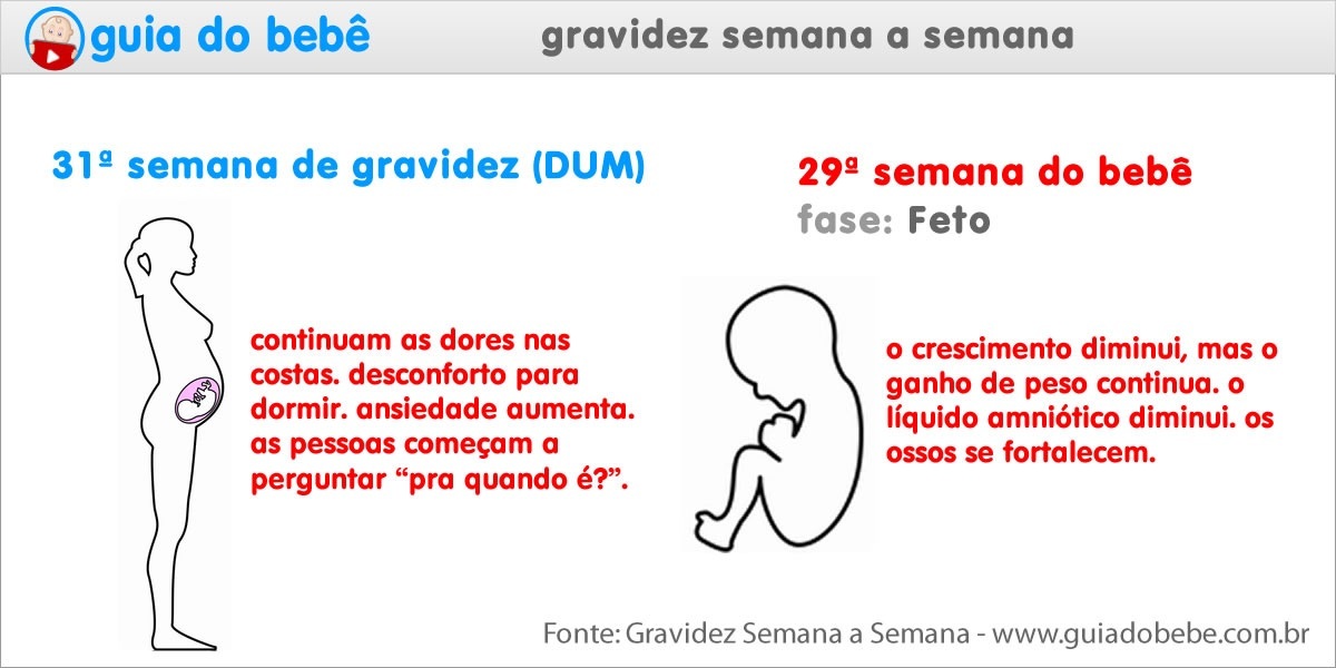 Semana 31 de gravidez (DUM) - Guia do Bebê Semana 31 de gravidez (DUM) - Guia do Bebê