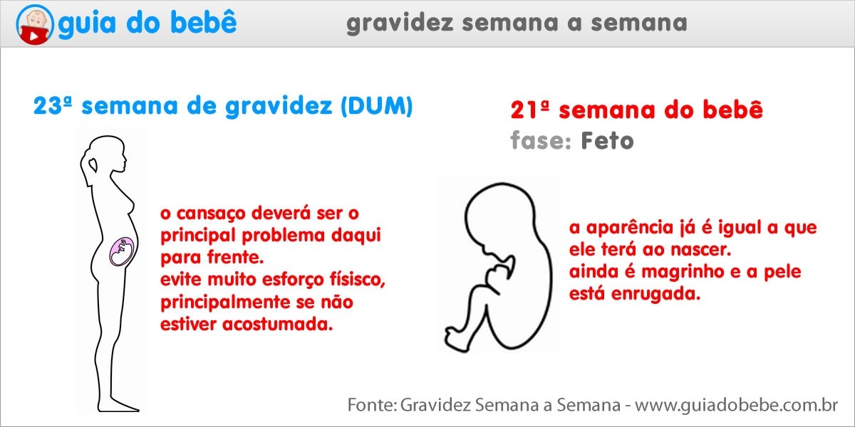 Semana 23 de gravidez (DUM) - Guia do Bebê Semana 23 de gravidez (DUM) - Guia do Bebê