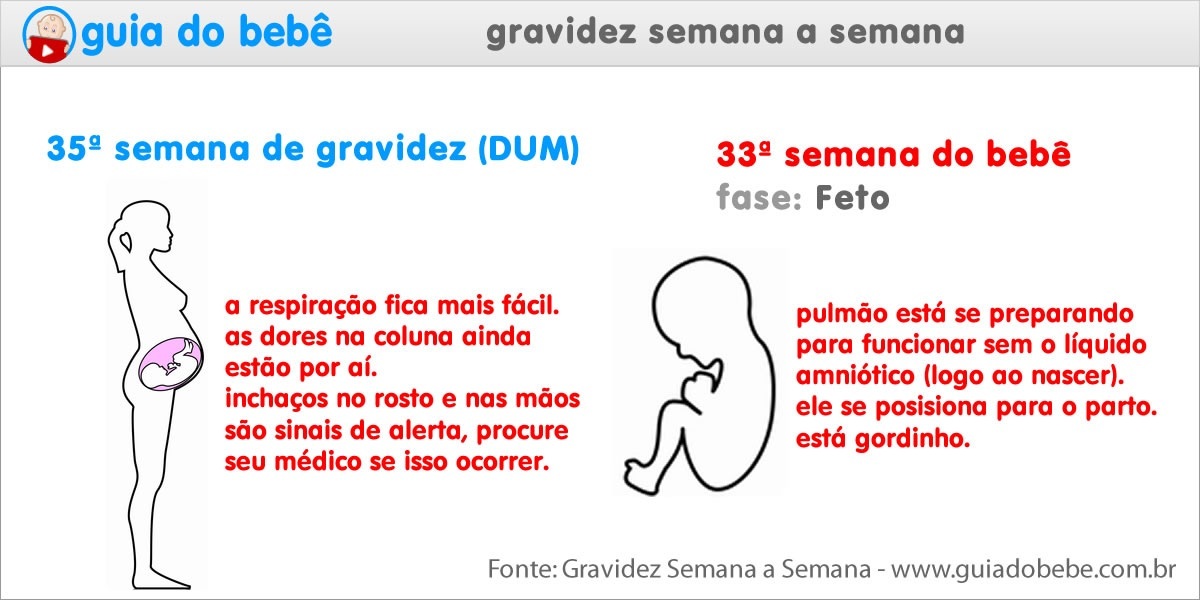 Semana 35 de gravidez (DUM) - Guia do Bebê Semana 35 de gravidez (DUM) - Guia do Bebê