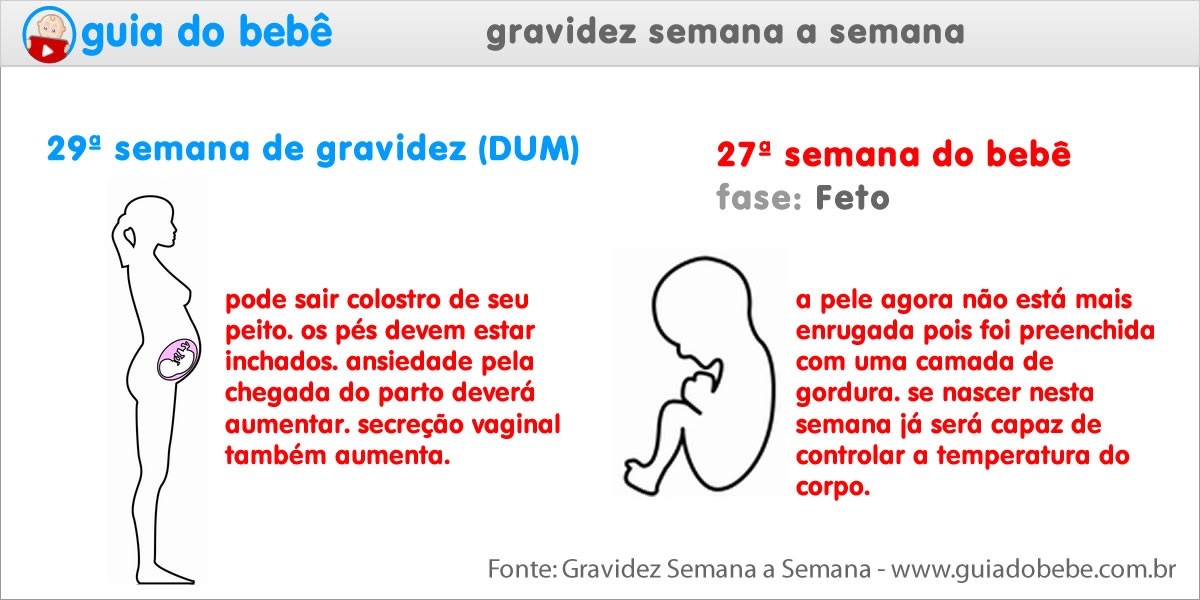 Semana 29 de gravidez (DUM) - Guia do Bebê Semana 29 de gravidez (DUM) - Guia do Bebê