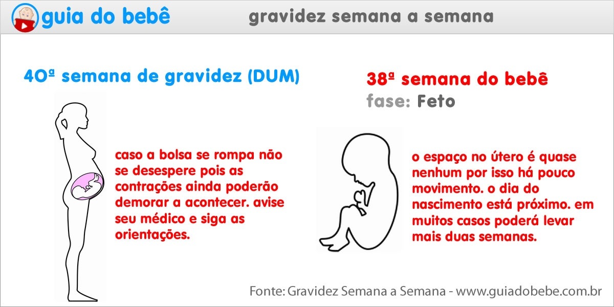Semana 40 de gravidez (DUM) - Guia do Bebê Semana 40 de gravidez (DUM) - Guia do Bebê