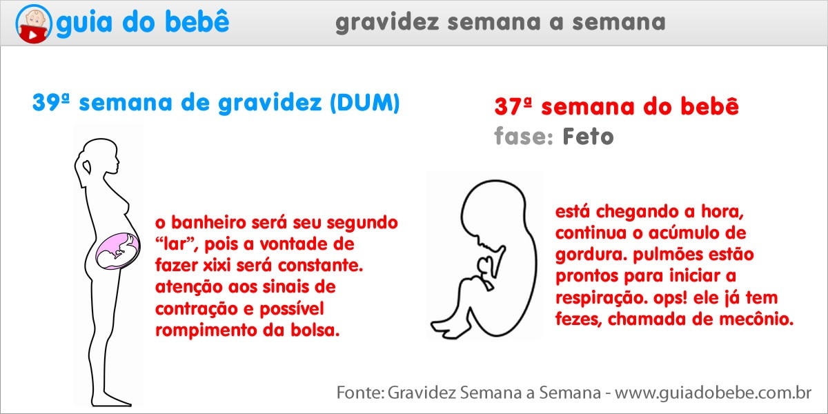 Semana 39 de gravidez (DUM) - Guia do Bebê Semana 39 de gravidez (DUM) - Guia do Bebê