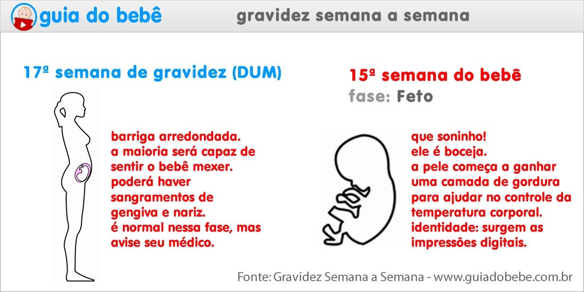 Semana 17 de gravidez (DUM) - Guia do Bebê Semana 17 de gravidez (DUM) - Guia do Bebê