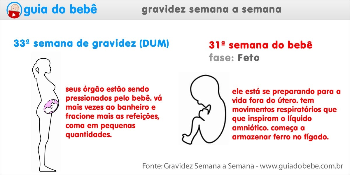 Semana 33 de gravidez (DUM) - Guia do Bebê Semana 33 de gravidez (DUM) - Guia do Bebê
