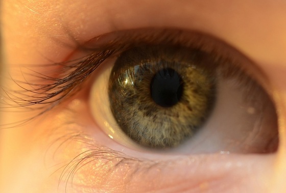 atendimento oftalmológico para crianças em fase de alfabetização - Foto: Skitterphoto / pixabay.com