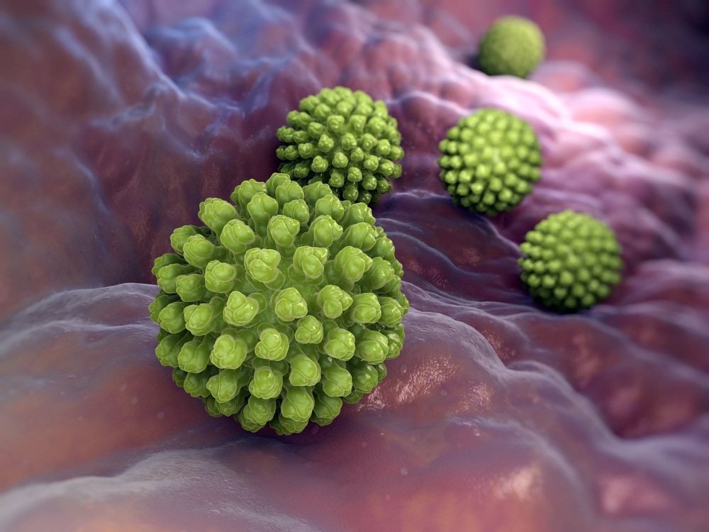 Bactéria do rotavírus - foto: Tatiana Shepeleva/ShutterStock.com