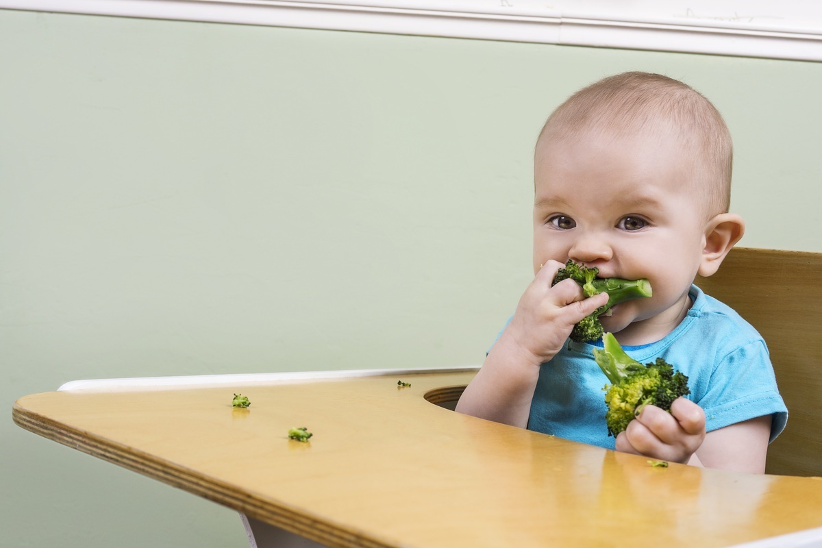 Bebê comendo brócolis - foto: Red pepper/ShutterStock.com Bebê comendo brócolis - foto: Red pepper/ShutterStock.com