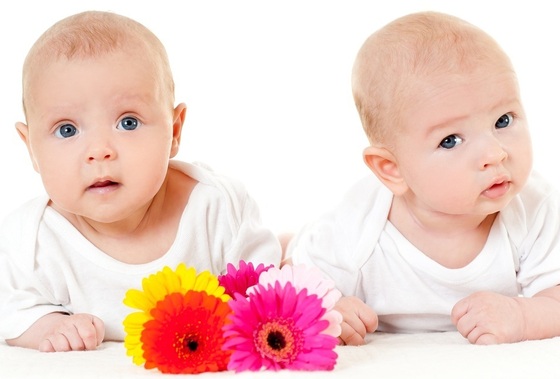 Bebês gêmeos - foto: SvetlanaFedoseyeva/ShutterStock.com