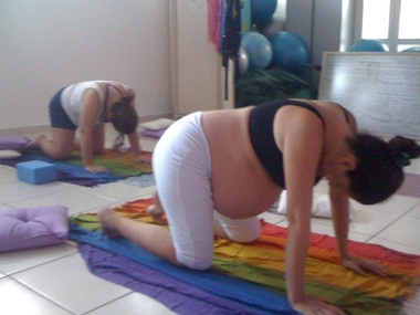 postura do gato (Mayurasana) - Yoga pré-natal postura do gato (Mayurasana) - Yoga pré-natal