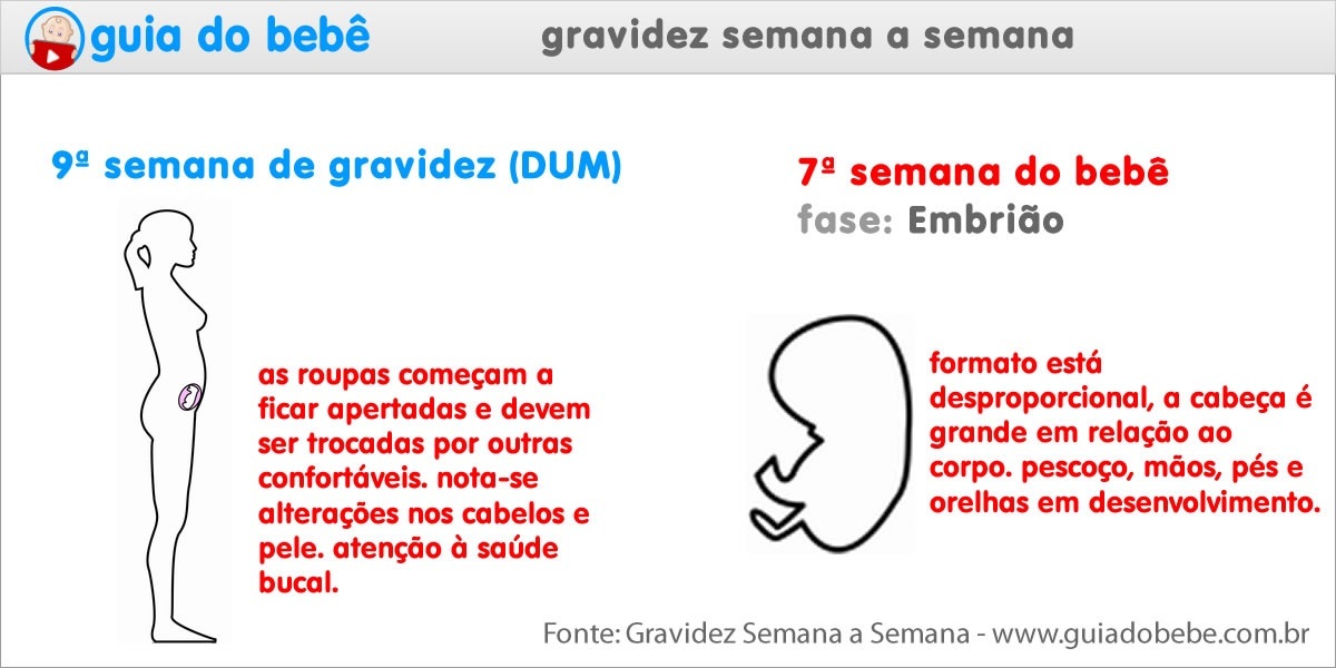 Semana 9 de gravidez (DUM) - Guia do Bebê Semana 9 de gravidez (DUM) - Guia do Bebê