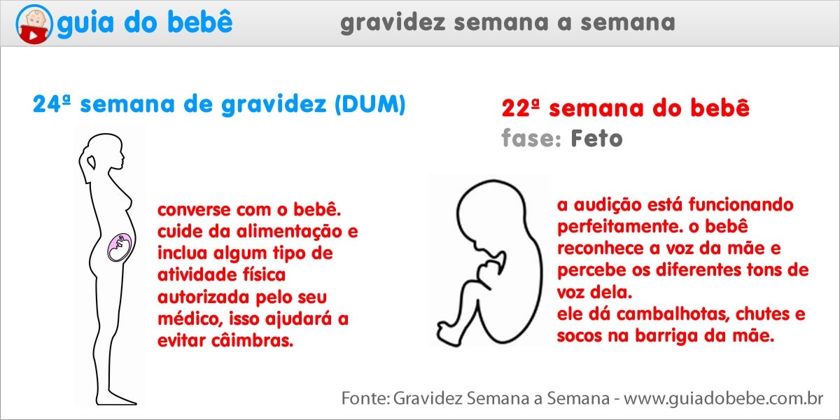 Semana 24 de gravidez (DUM) - Guia do Bebê Semana 24 de gravidez (DUM) - Guia do Bebê