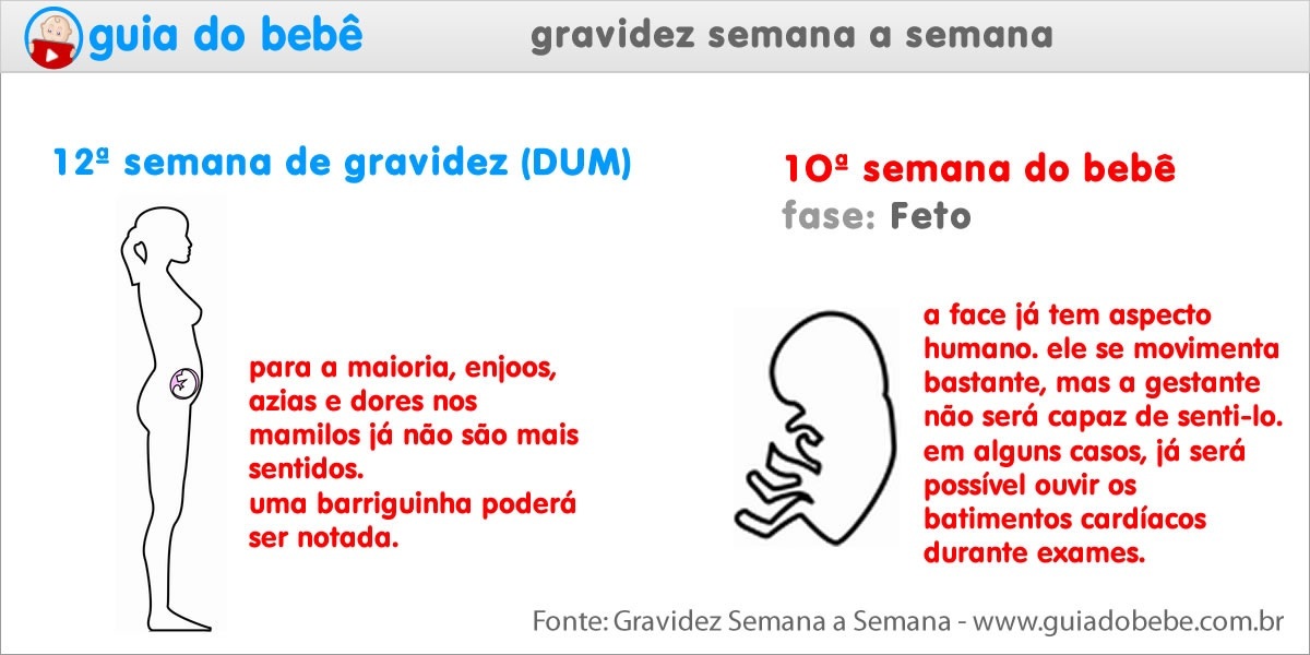 Semana 12 de gravidez (DUM) - Guia do Bebê Semana 12 de gravidez (DUM) - Guia do Bebê