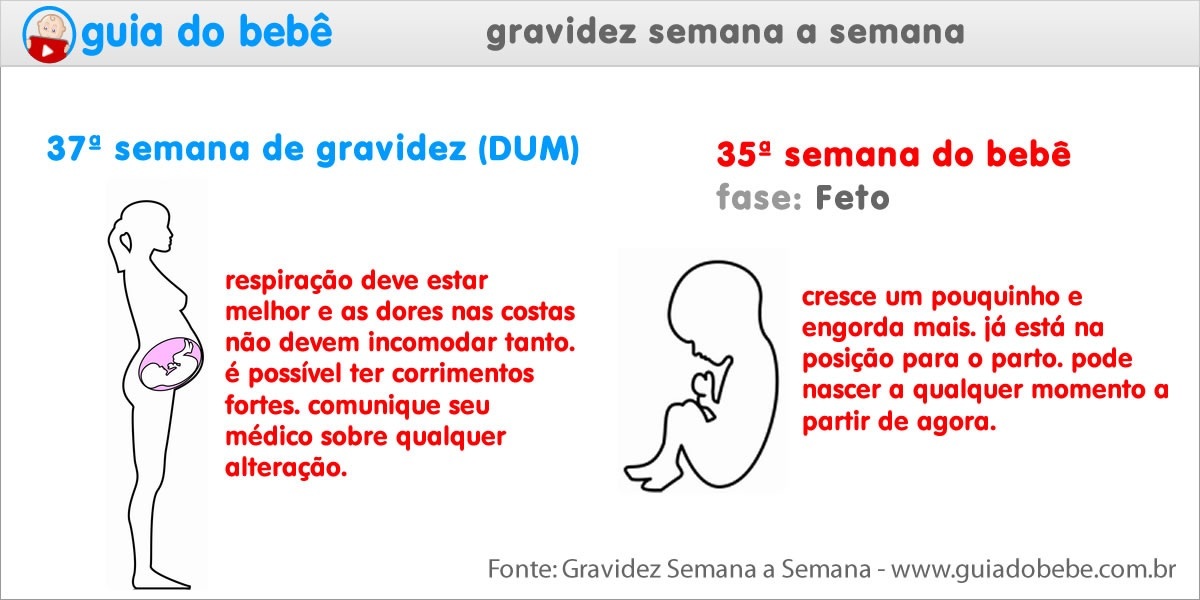 Semana 37 de gravidez (DUM) - Guia do Bebê Semana 37 de gravidez (DUM) - Guia do Bebê