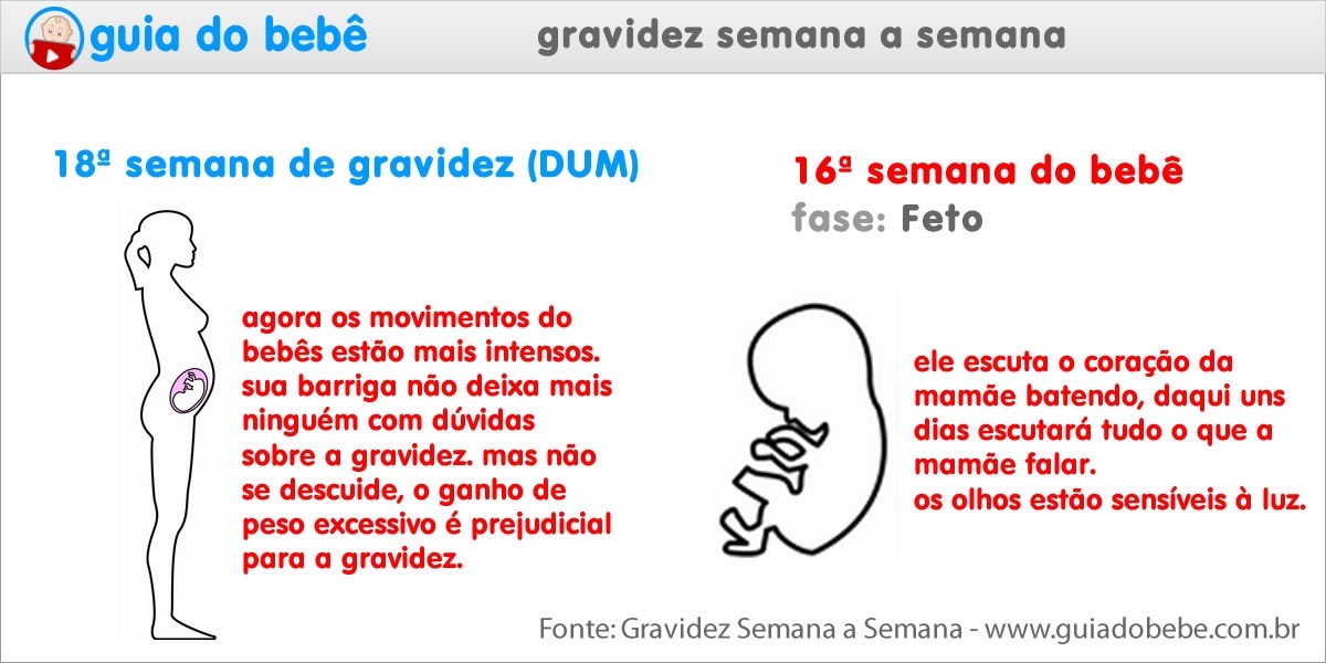 Semana 18 de gravidez (DUM) - Guia do Bebê Semana 18 de gravidez (DUM) - Guia do Bebê