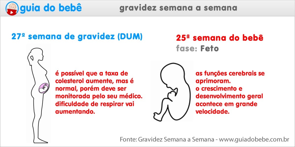 Semana 27 de gravidez (DUM) - Guia do Bebê Semana 27 de gravidez (DUM) - Guia do Bebê