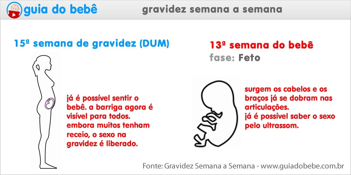 Semana 15 de gravidez (DUM) - Guia do Bebê Semana 15 de gravidez (DUM) - Guia do Bebê