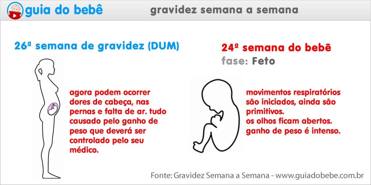 Semana 26 de gravidez (DUM) - Guia do Bebê Semana 26 de gravidez (DUM) - Guia do Bebê