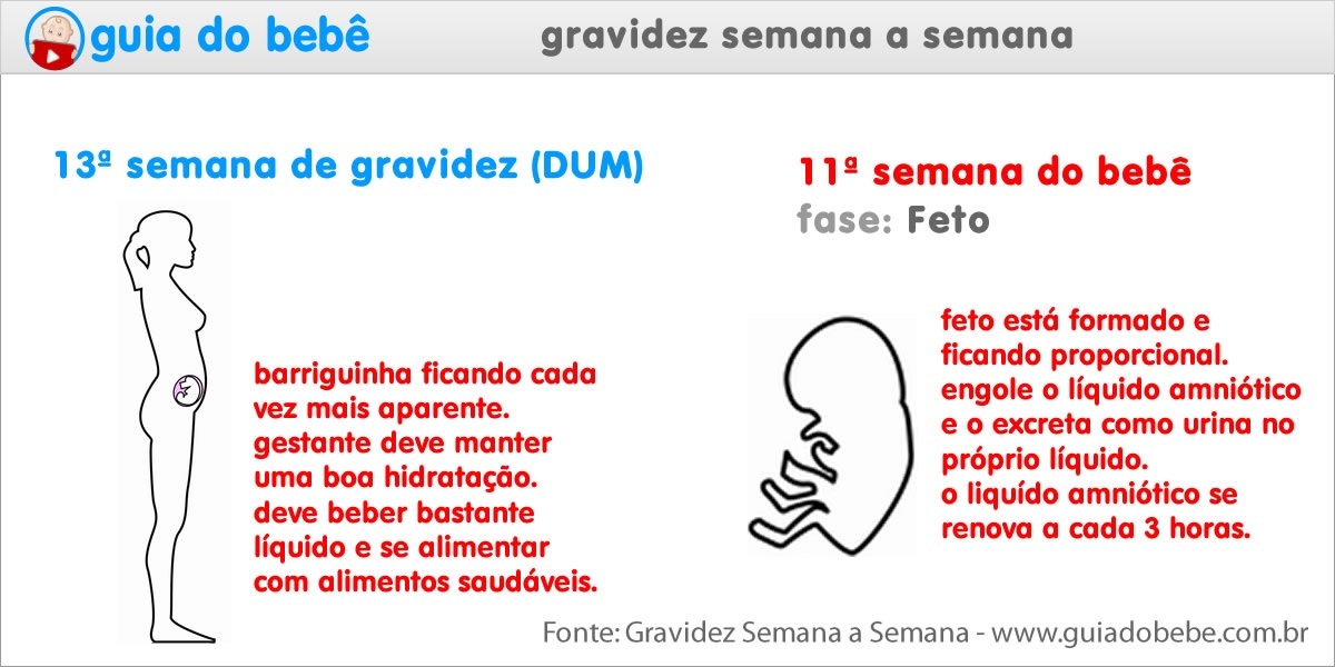 Semana 13 de gravidez (DUM) - Guia do Bebê Semana 13 de gravidez (DUM) - Guia do Bebê
