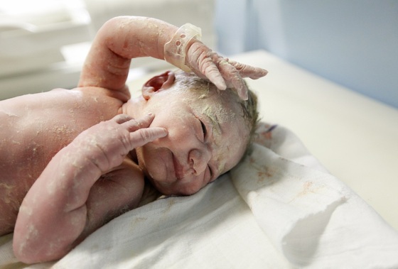 Bebê recém-nascido - Foto: zlikovec/ShutterStock.com